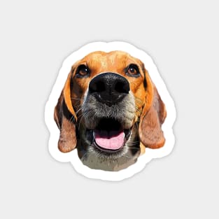 Beagle Dog Art Sticker